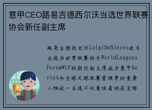 意甲CEO路易吉德西尔沃当选世界联赛协会新任副主席
