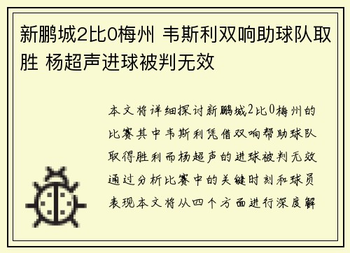 新鹏城2比0梅州 韦斯利双响助球队取胜 杨超声进球被判无效